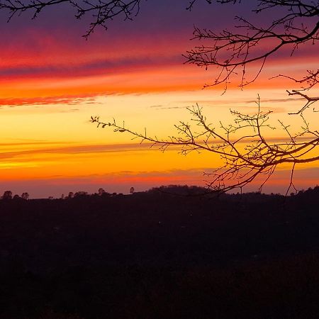Yosemite Foothill Retreat - Private Guest Suite #2 كورسيغولد المظهر الخارجي الصورة