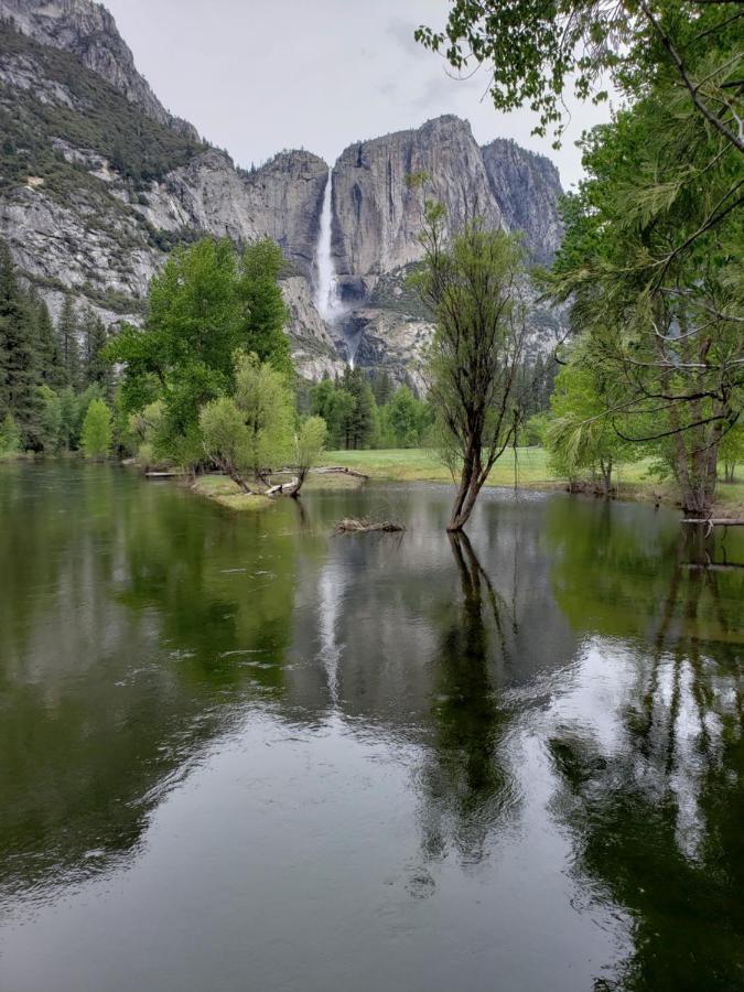 Yosemite Foothill Retreat - Private Guest Suite #2 كورسيغولد المظهر الخارجي الصورة